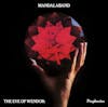 Album artwork for The Eye Of Wendor: Prophesies by Mandalaband