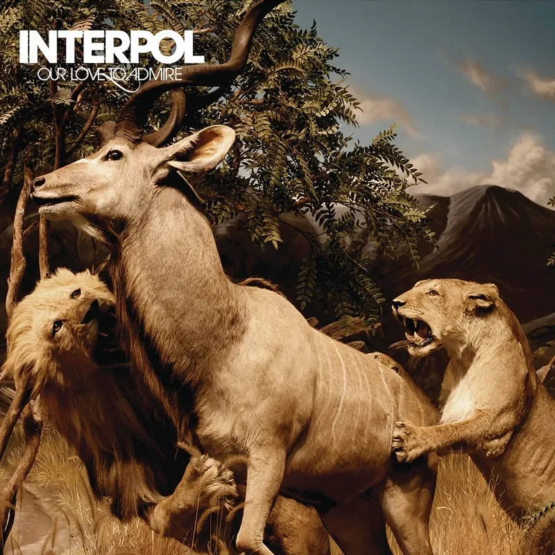 Album artwork for Our Love to Admire (Reissue) by Interpol