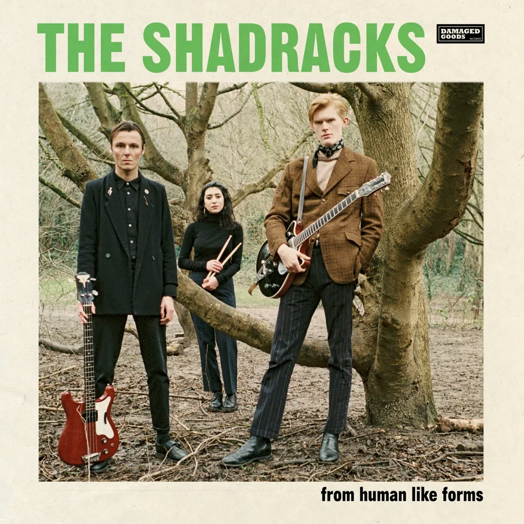 Album artwork for From Human Like Forms by The Shadracks
