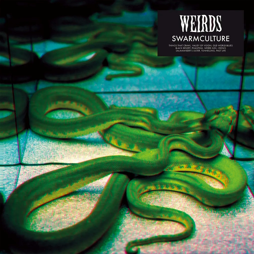 Album artwork for Swarmculture by Weirds