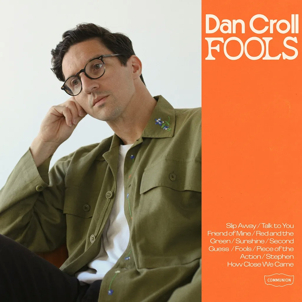 Album artwork for Fools by Dan Croll