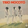 Album artwork for Trio Mocoto by Trio Mocoto