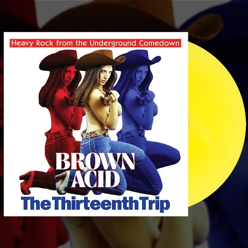 Album artwork for Album artwork for Brown Acid: The Thirteenth Trip by Various by Brown Acid: The Thirteenth Trip - Various