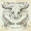 Album artwork for Destroyer Of The Void by Blitzen Trapper