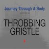 Album artwork for Journey Through A Body by Throbbing Gristle