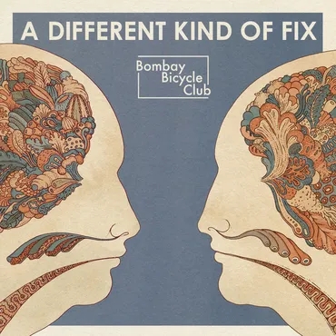Album artwork for Different Kind of Fix [Import] by Bombay Bicycle Club