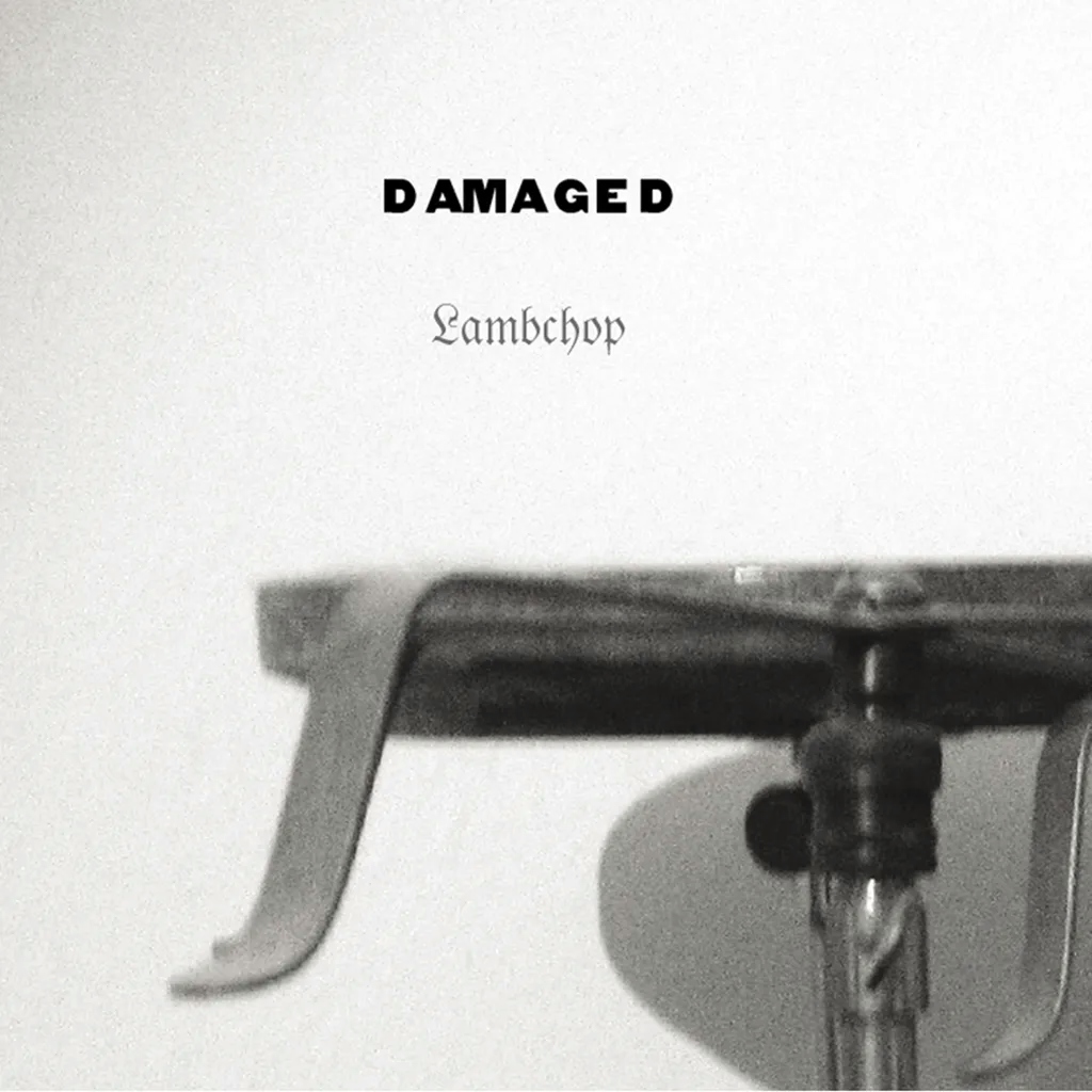 Album artwork for Damaged by Lambchop