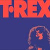 Album artwork for The Alternative Singles Collection by Marc Bolan