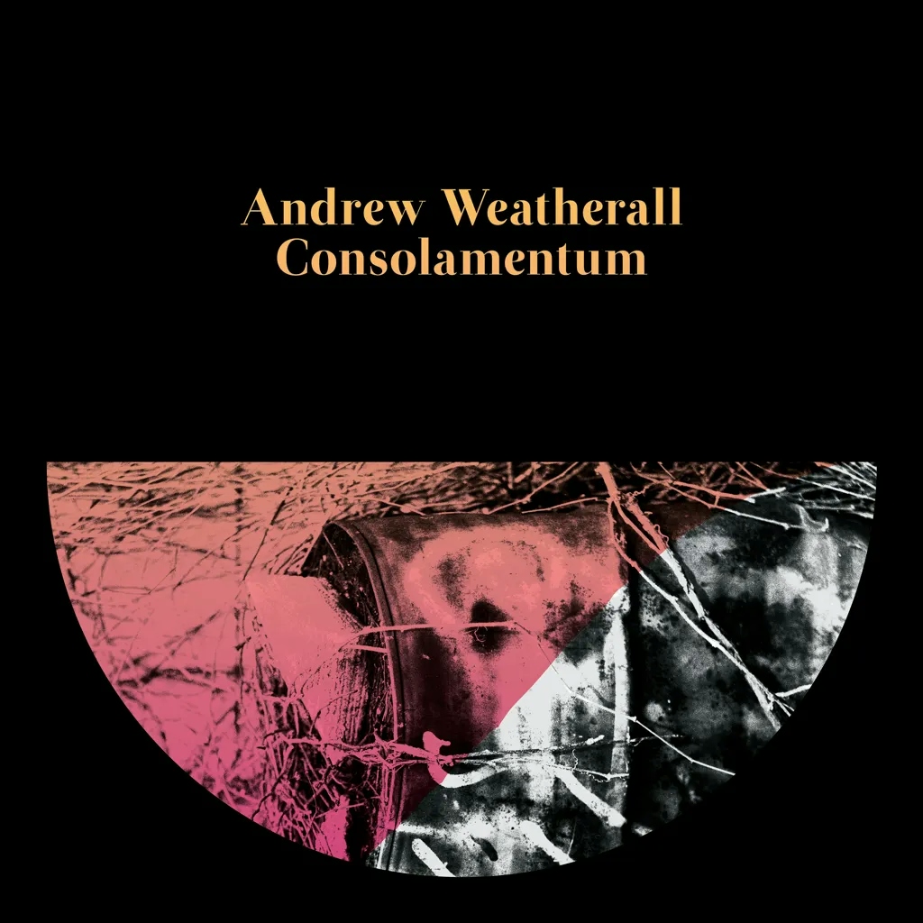 Album artwork for Consolamentum by Andrew Weatherall