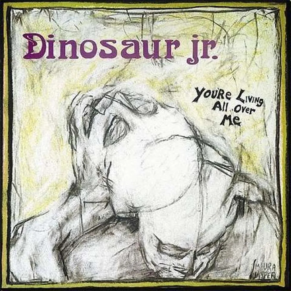 Album artwork for You're Living All Over Me by Dinosaur Jr