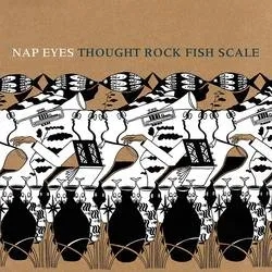 Album artwork for Thought Rock Fish Scale by Nap Eyes