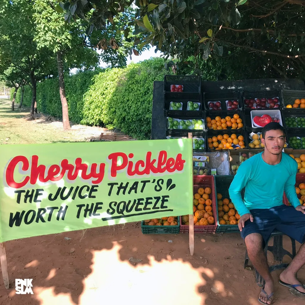 Album artwork for The Juice That’s Worth the Squeeze by Cherry Pickles