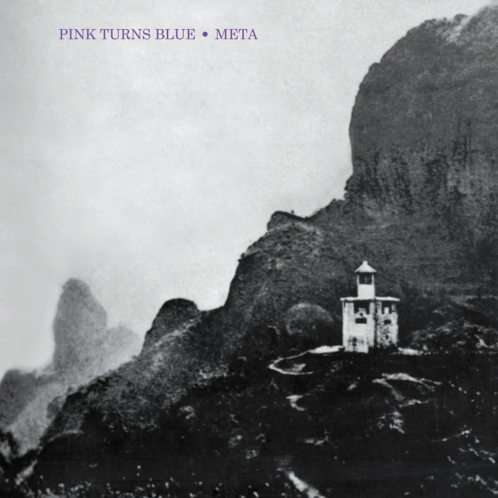 Album artwork for Meta by Pink Turns Blue