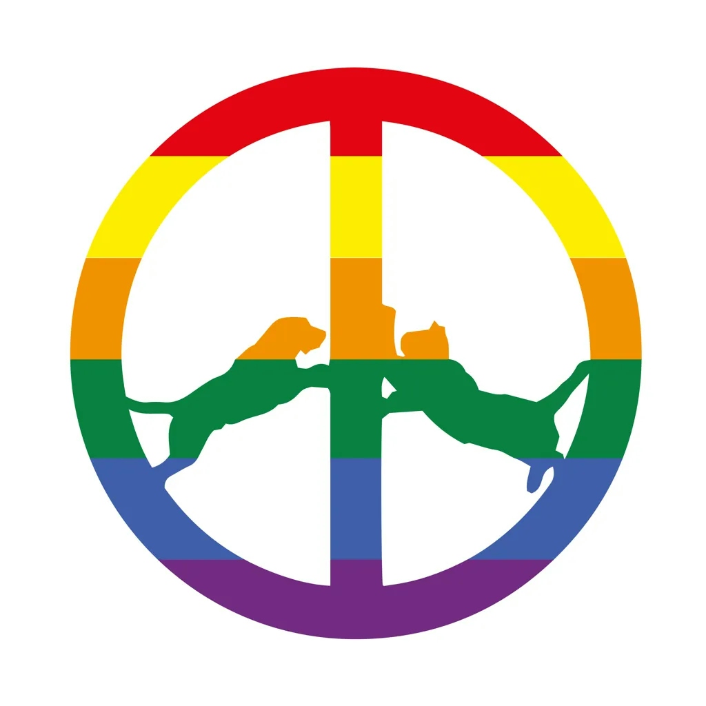 Album artwork for Rainbow Edition by Hype Williams