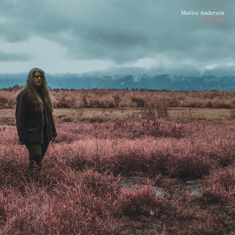 Album artwork for Still, Here by Marisa Anderson