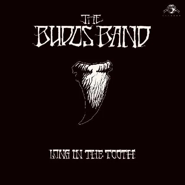 Album artwork for Long in the Tooth by The Budos Band
