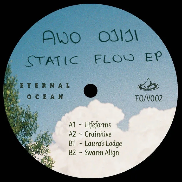 Album artwork for Static Flow by Awo Oijiji