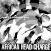 Album artwork for Vision Of A Psychedelic Africa by African Head Charge