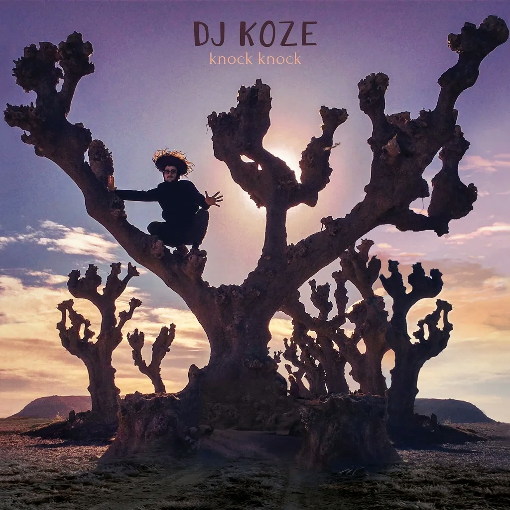 Album artwork for Knock Knock by DJ Koze