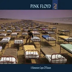 Album artwork for A Momentary Lapse Of Reason by Pink Floyd