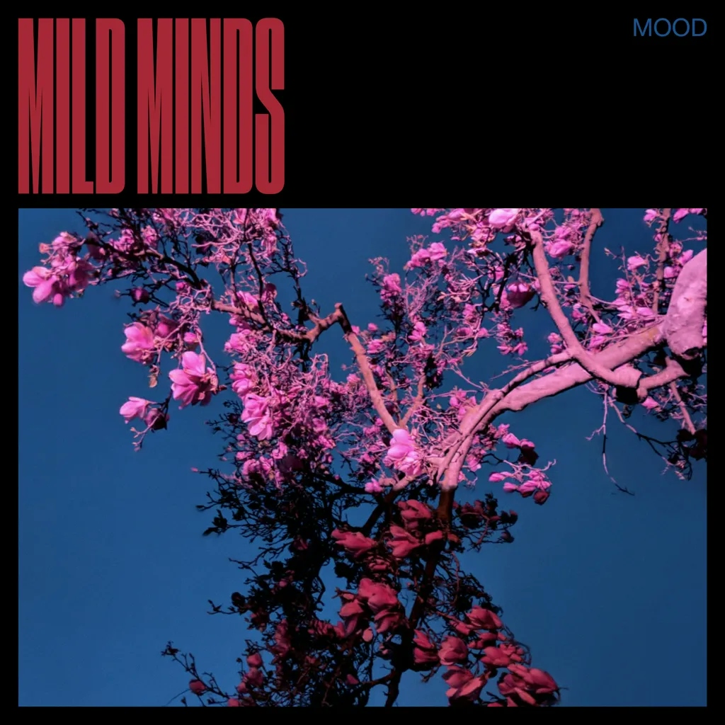 Album artwork for Mood by Mild Minds