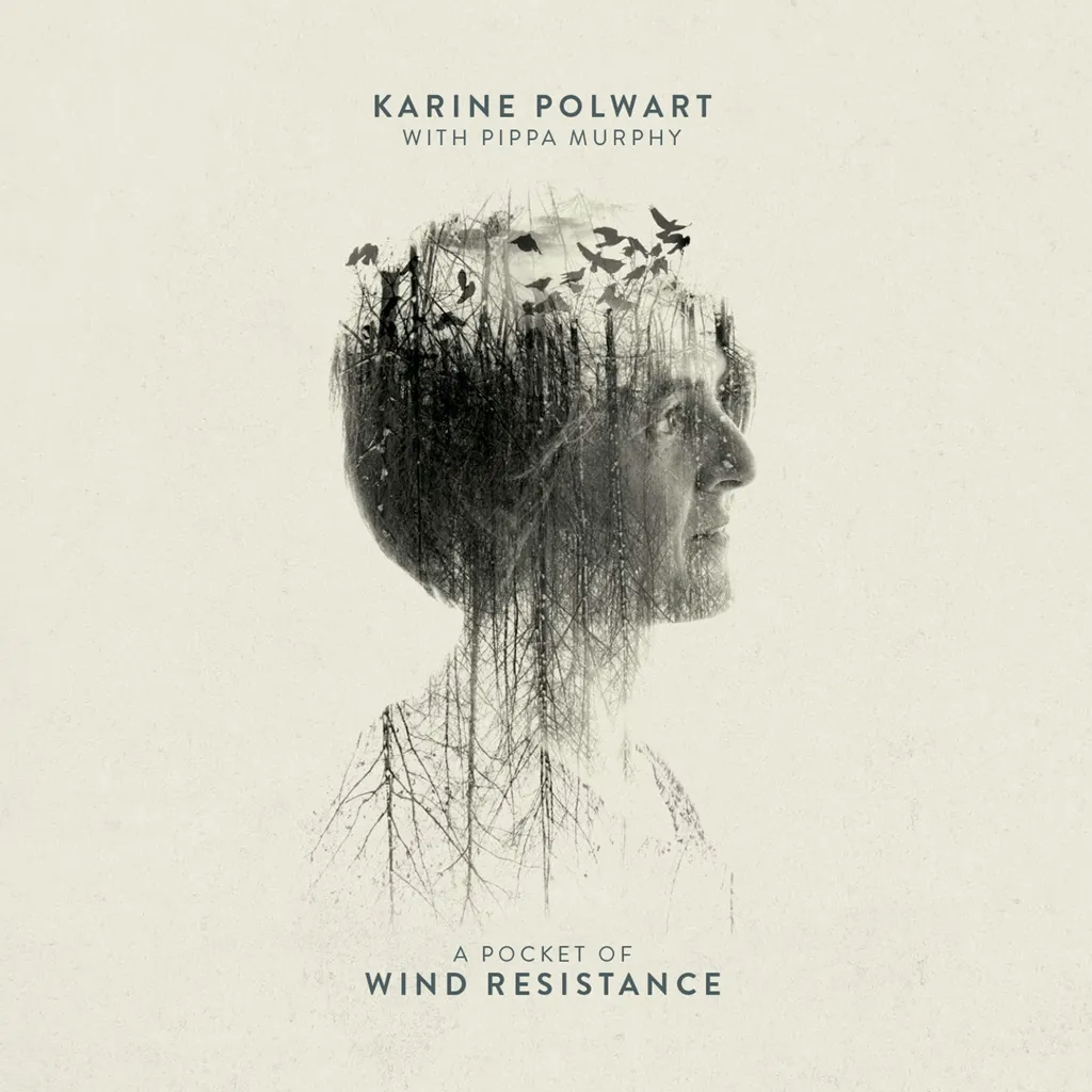 Album artwork for A Pocket Of Wind Resistance by Karine Polwart