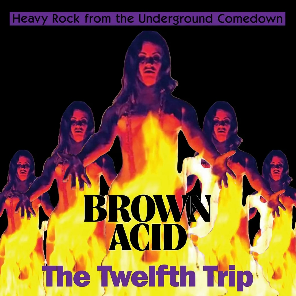 Album artwork for Brown Acid: The Twelfth Trip by Various
