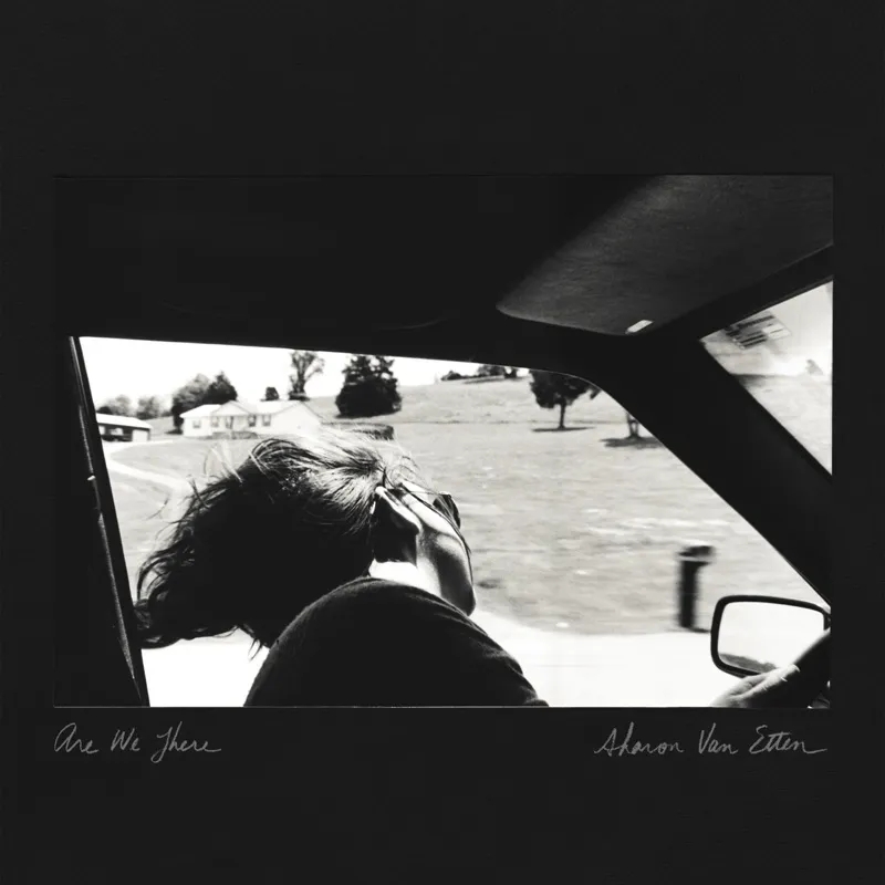 Album artwork for Are We There (LRS 2021) by Sharon Van Etten