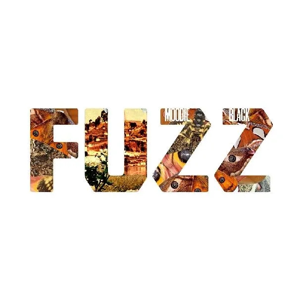 Album artwork for Fuzz by Moodie Black