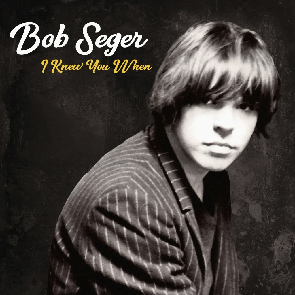 Album artwork for I Knew You When by Bob Seger