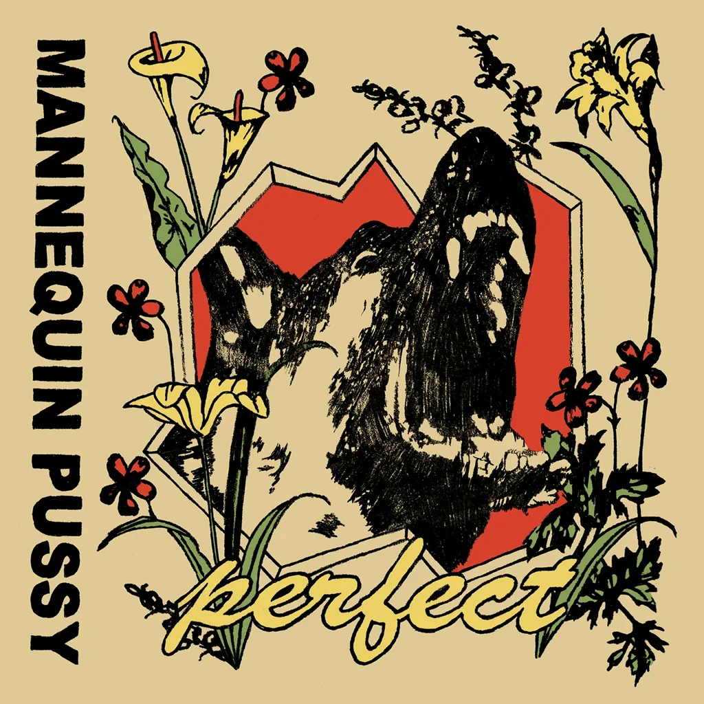 Album artwork for Perfect by Mannequin Pussy