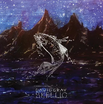 Album artwork for Skellig by David Gray