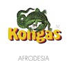 Album artwork for Afrodesia by Kongas
