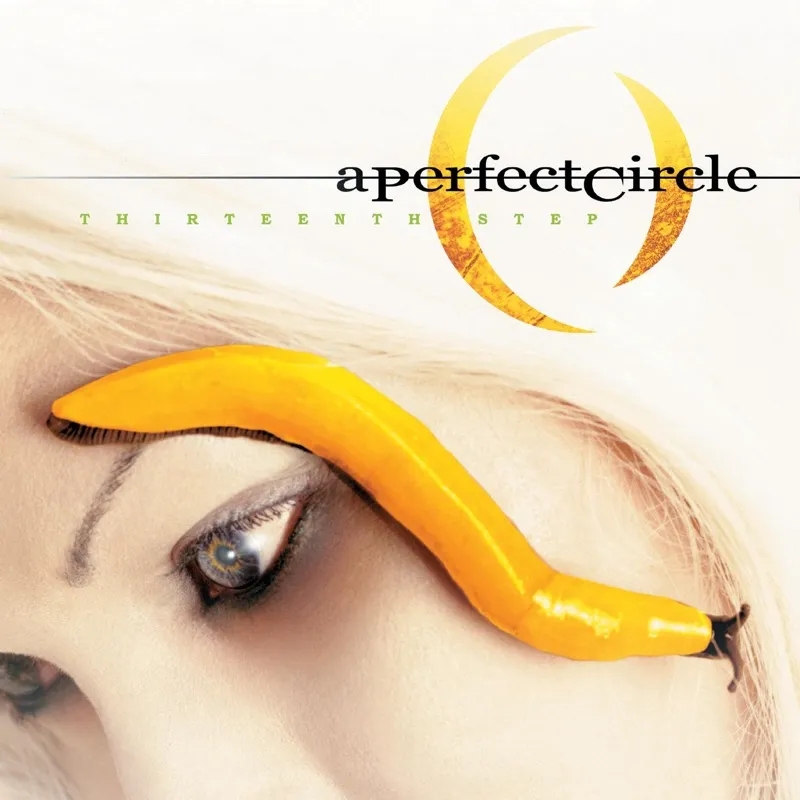 Album artwork for Thirteenth Step by A Perfect Circle
