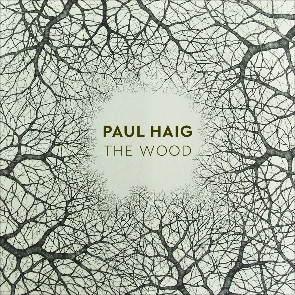 Album artwork for The Wood by Paul Haig