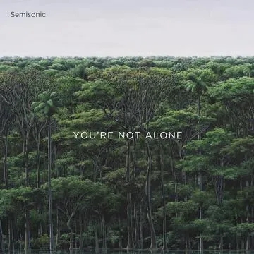 Album artwork for You're Not Alone by Semisonic