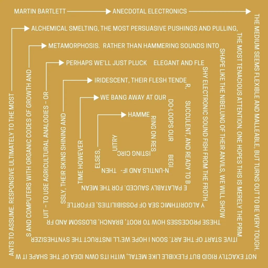Album artwork for Anecdotal Electronics: Live Experiments and Other Recordings by Martin Bartlett