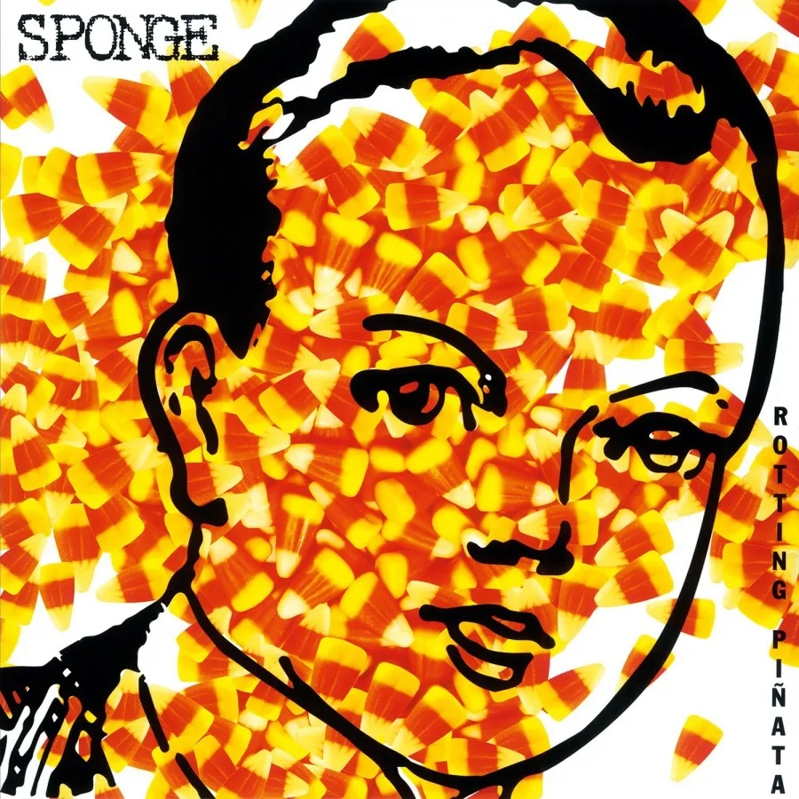 Album artwork for Rotting Piñata by Sponge