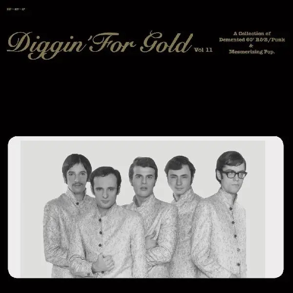Album artwork for Diggin' For Gold Vol. 11 by Various Artists