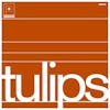 Album artwork for Tulips by Maston