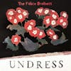Album artwork for Undress by The Felice Brothers