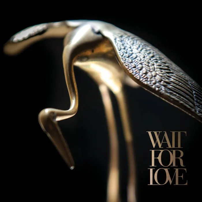 Album artwork for Wait for Love by Pianos Become The Teeth