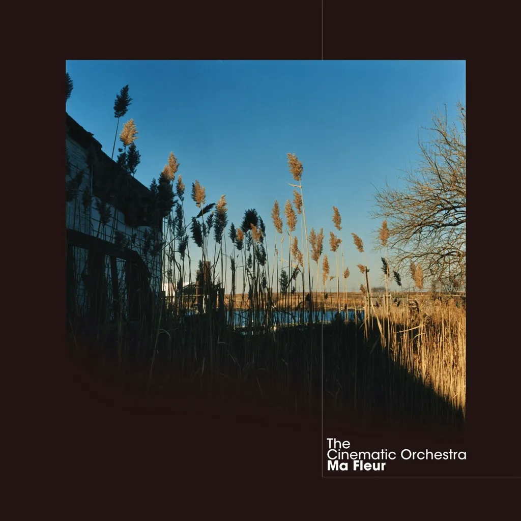 Album artwork for Ma Fleur by The Cinematic Orchestra