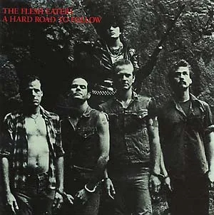 Album artwork for A Hard Road to Follow by The Flesh Eaters