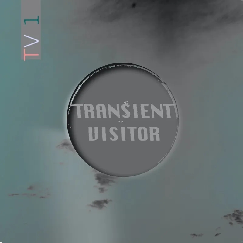 Album artwork for TV1 by Transient Visitor