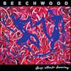 Album artwork for Sleep Without Dreaming by Beechwood