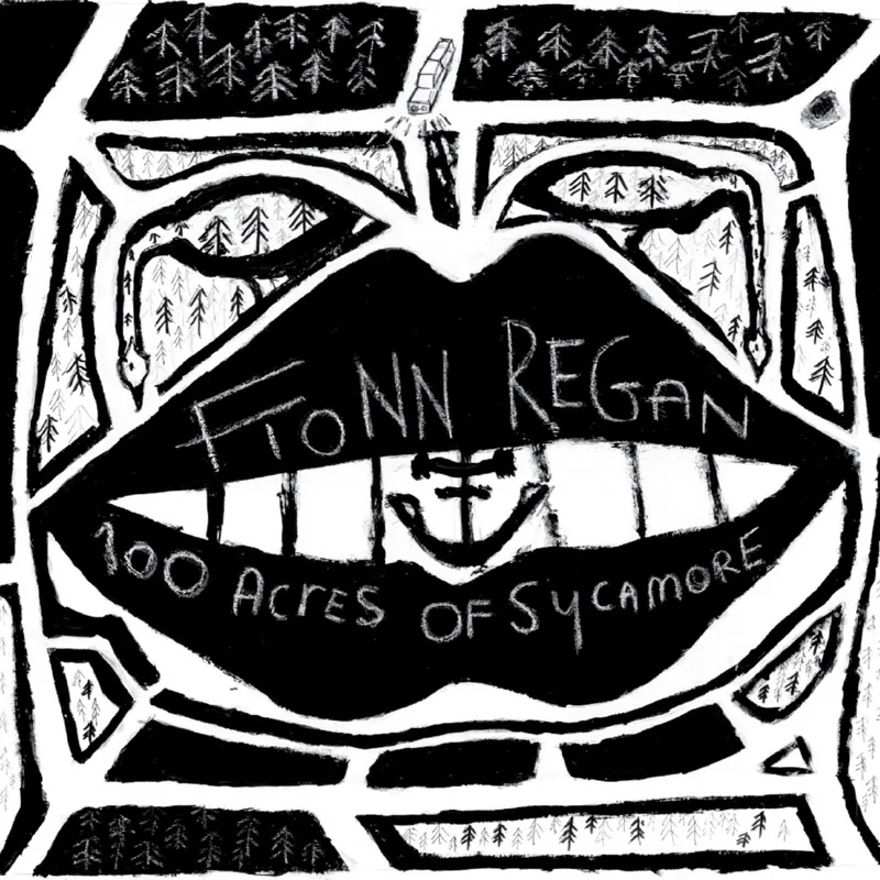 Album artwork for 100 Acres Of Sycamore (10th Anniversary) by Fionn Regan