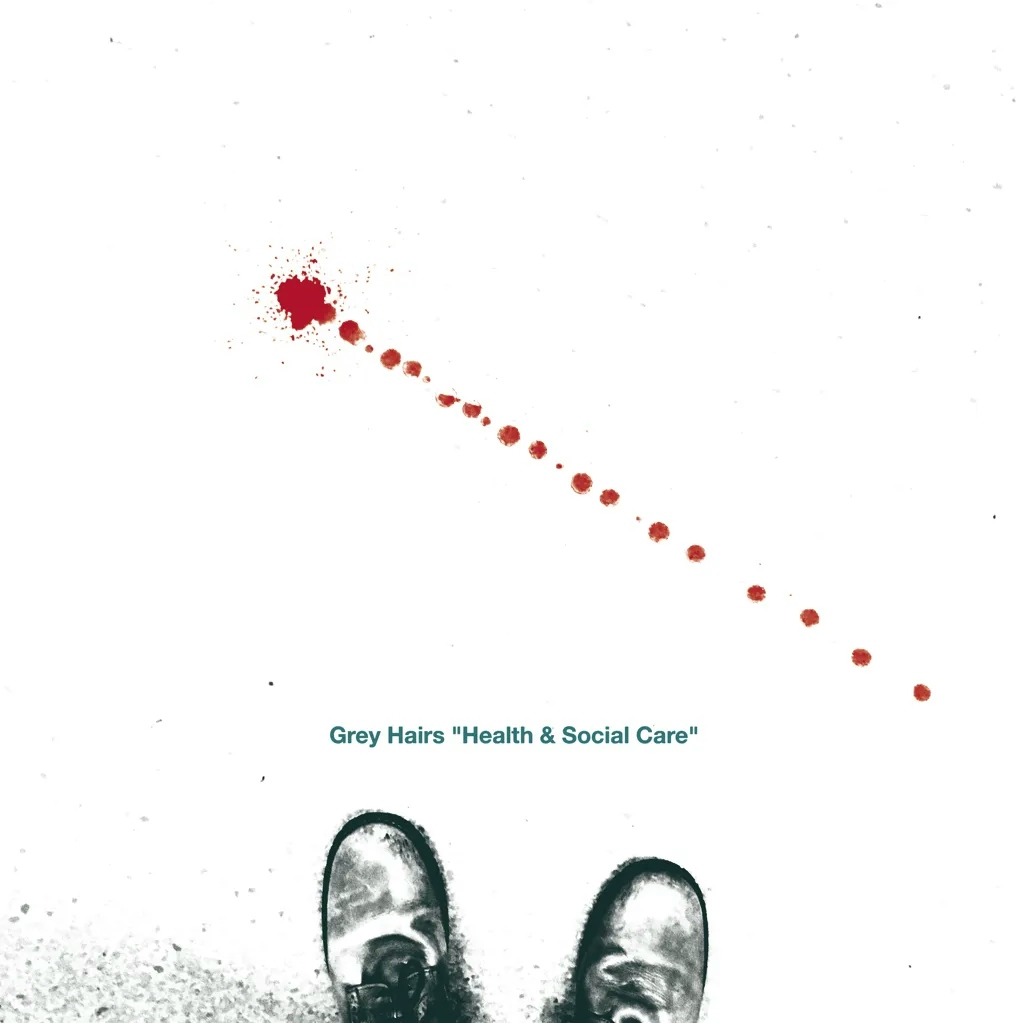 Album artwork for Health and Social Care by Grey Hairs