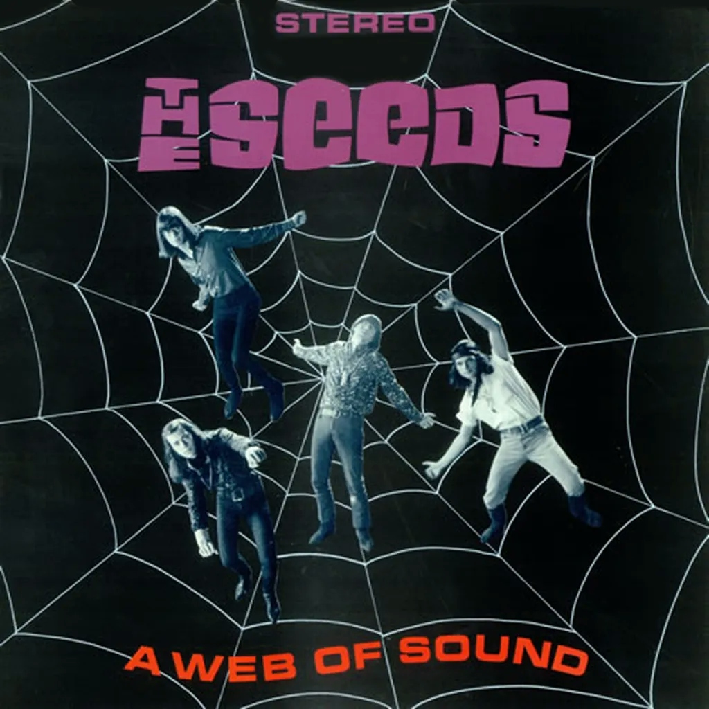 Album artwork for A Web Of Sound by The Seeds