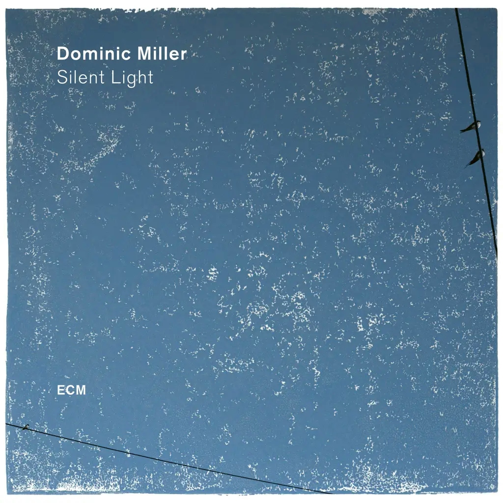 Album artwork for Silent Light by Dominic Miller 